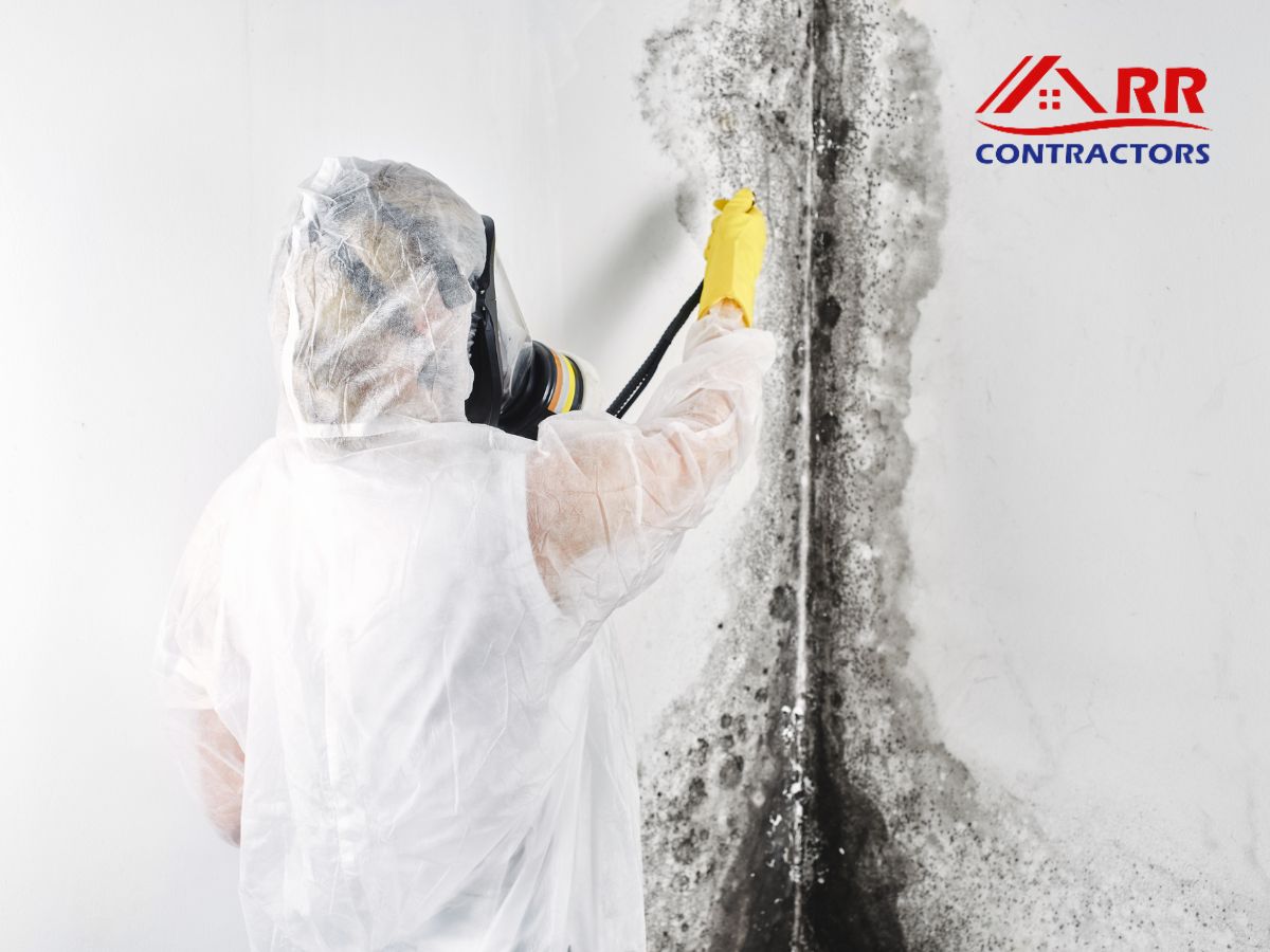 Mold Cleaning Service In Plano